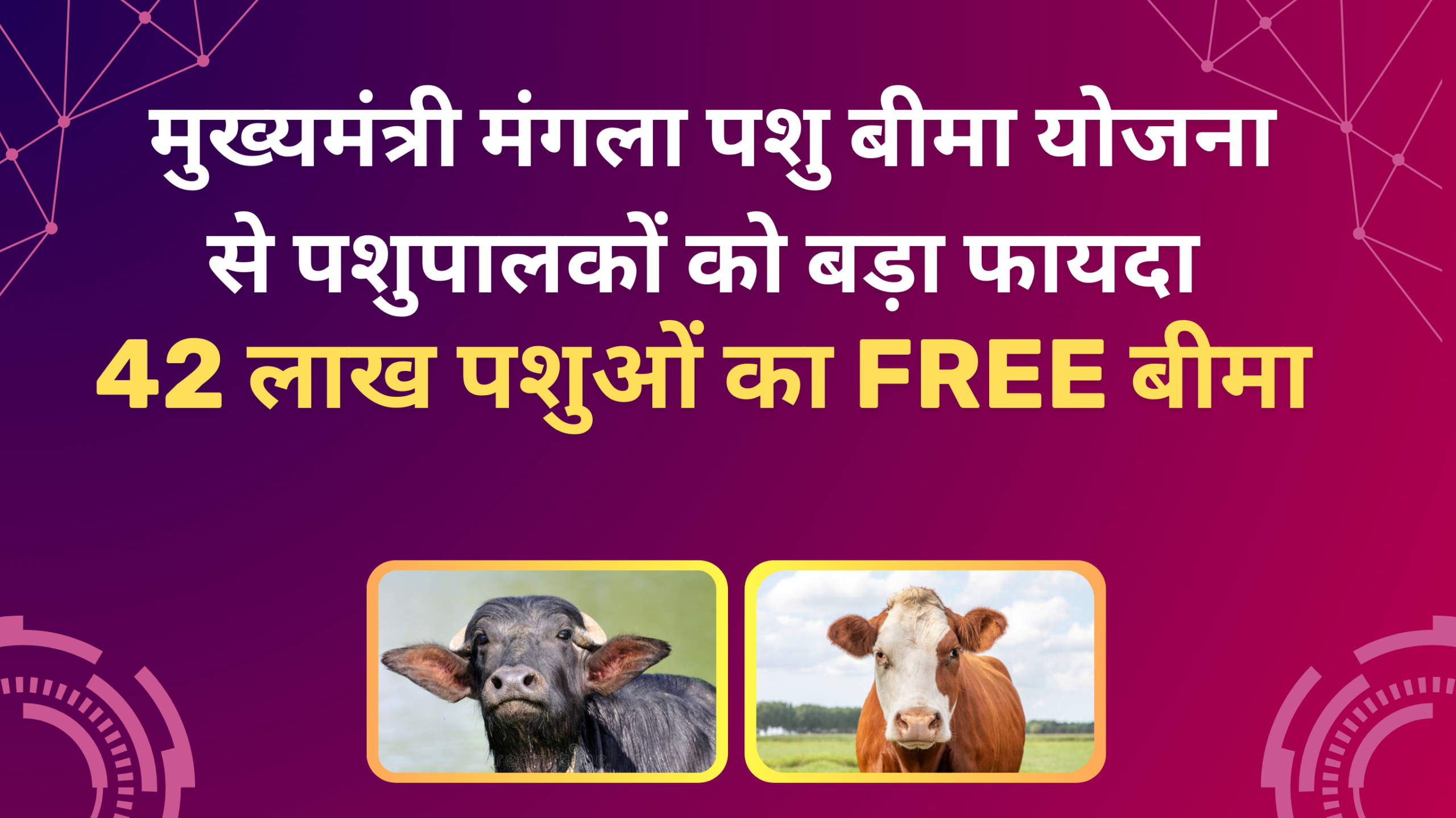 मुख्यमंत्री मंगला पशु बीमा योजना: 42 लाख पशुओं का मुफ्त बीमा लाभ