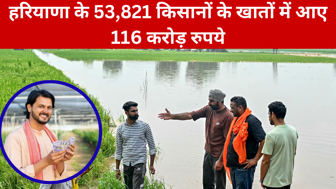 हरियाणा के 53,821 किसानों के खातों में आए 116 करोड़ रुपये, ऐसे चेक करें स्टेटस