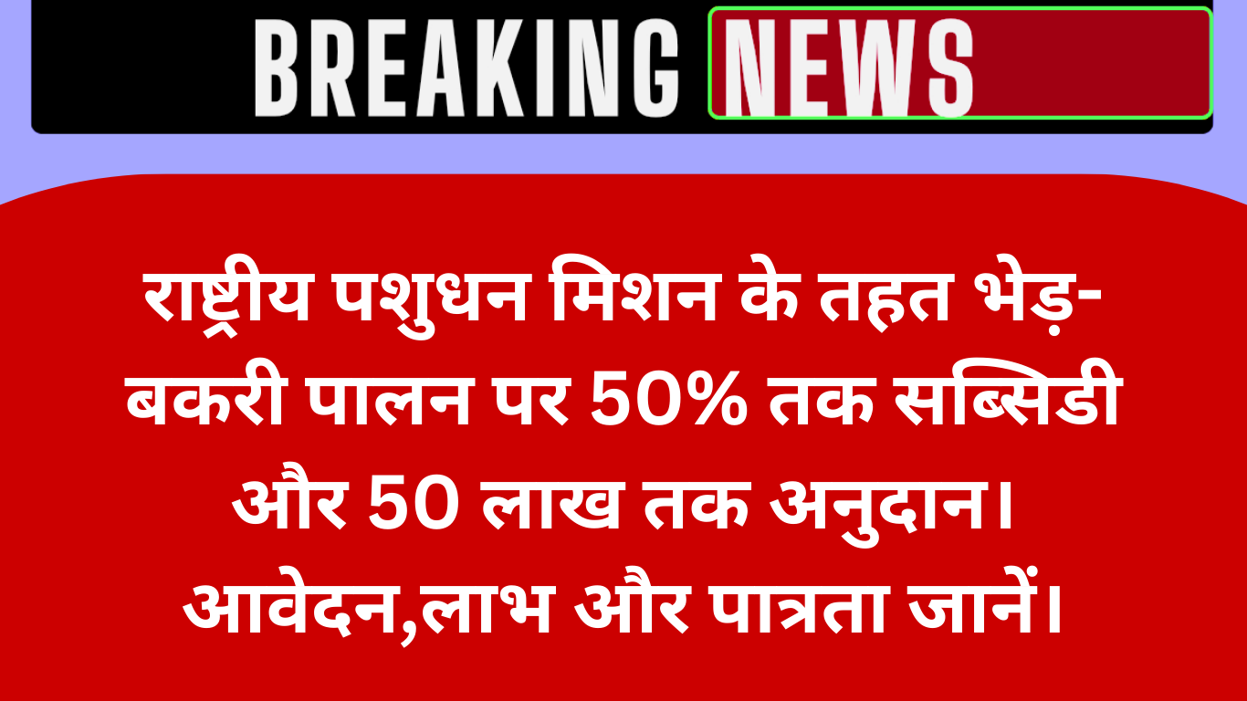 राष्ट्रीय पशुधन मिशन 2025: भेड़ पालन पर 50% सब्सिडी, 50 लाख तक अनुदान
