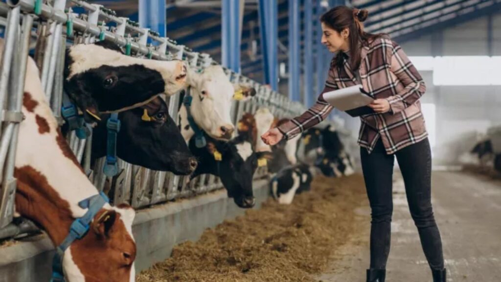 Animal Care in Summer