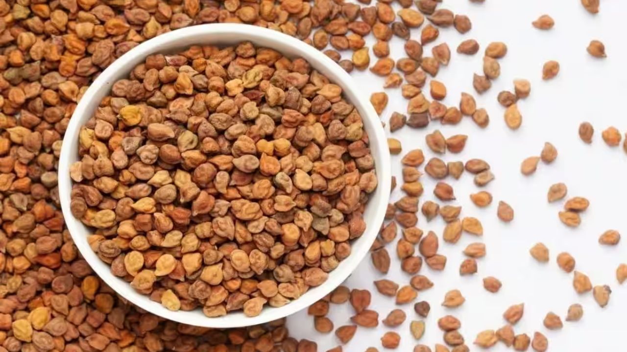 Chana Mandi Bhav 23 Feb 2026