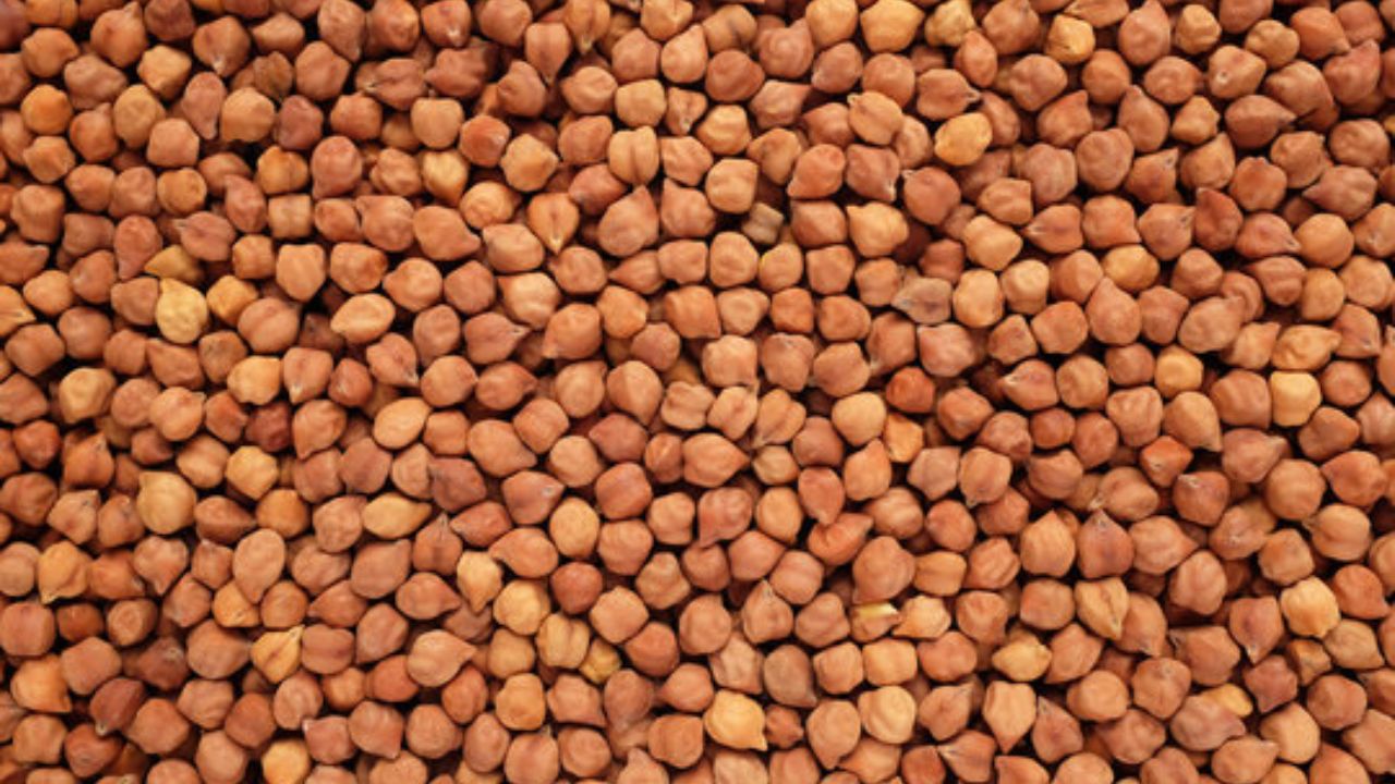 Chana Mandi Bhav 24 Feb 2026