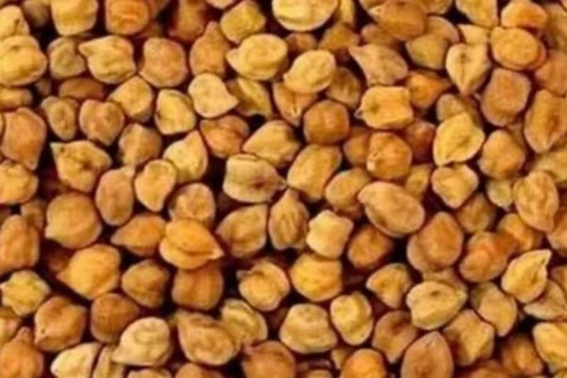 Chana Mandi Bhav 25 Feb 2026