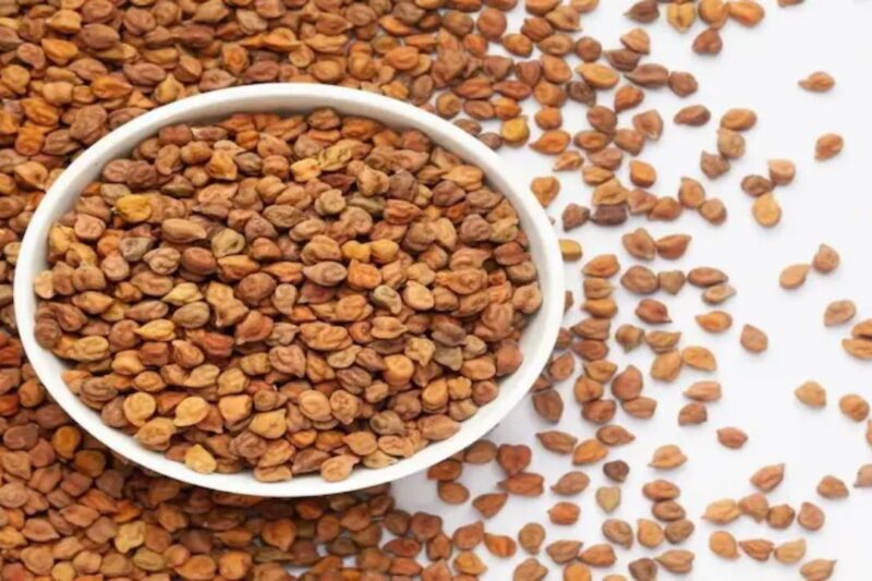 Chana Mandi Bhav 27 Feb 2026