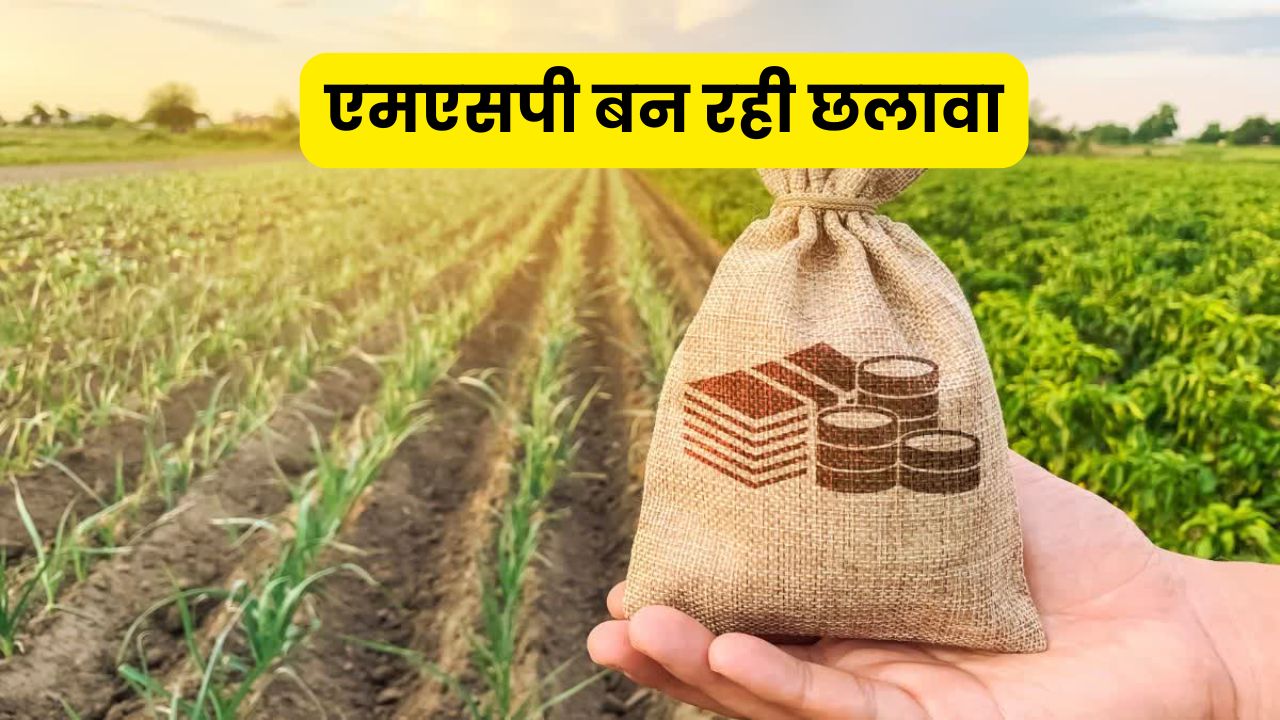Crop Price: एमएसपी बन रही छलावा, कागजों में बढ़ रहे दाम, किसानों की जेब हो रही खाली
