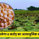 Makhana Cultivation