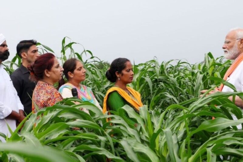 पीएम मोदी के इजरायल दौरे में कृषि और मत्स्य क्षेत्र में हुए बड़े समझौते, ICAR-MASHAV इनोवेशन सेंटर से लेकर 20 फेलोशिप तक, भारतीय किसानों को मिलेगा सीधा फायदा