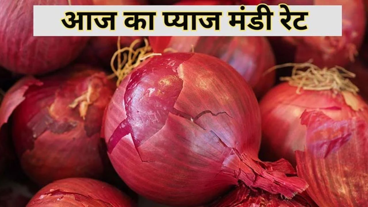 Pyaj Mandi Bhav 22 Feb 2026