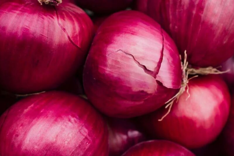 Pyaj Mandi Bhav 24 Feb 2026