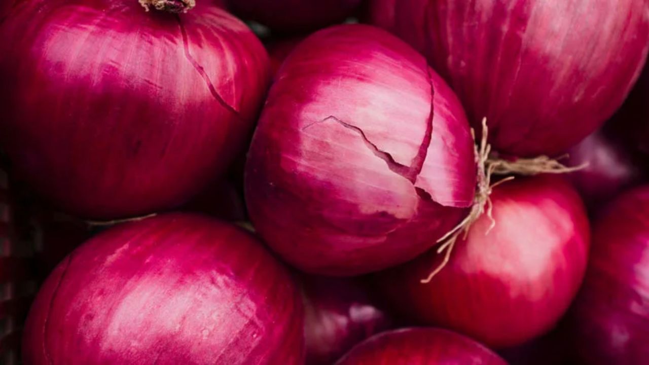 Pyaj Mandi Bhav 24 Feb 2026