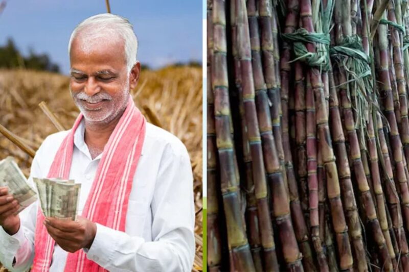 Sugarcane Supply