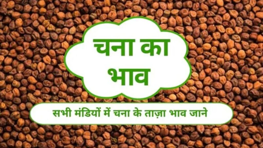 Chana Mandi Bhav 25 March 2026