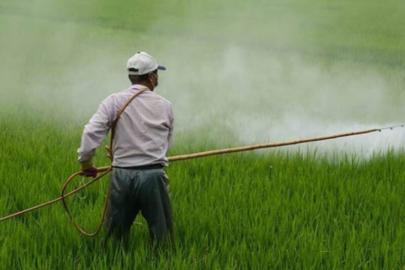 Fertiliser Price Hike: DAP और यूरिया खाद के दाम में भारी उछाल, ईरान युद्ध ने किसानों की बढ़ाई मुसीबत, यूरिया 1,000 डॉलर प्रति टन तक जाने का खतरा, खेती की लागत बढ़ने की आशंका