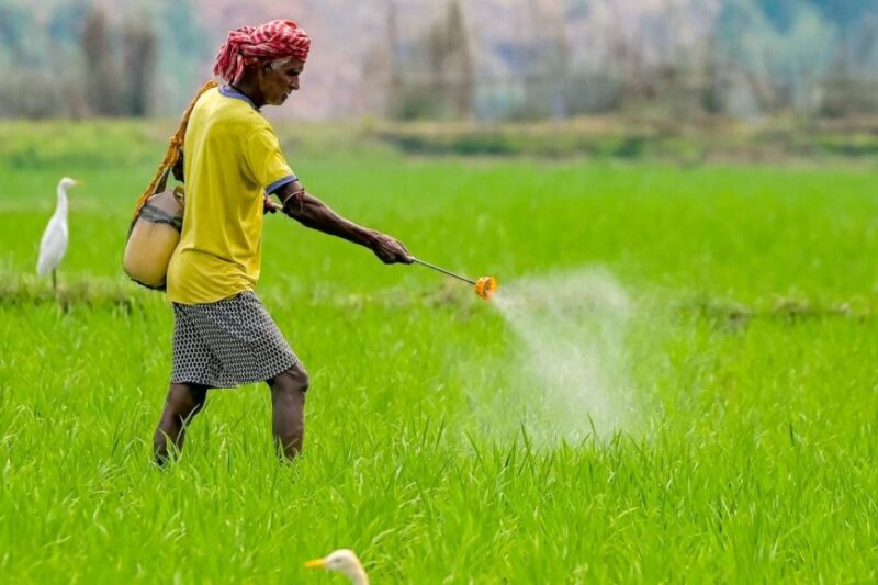 Fertilizer Subsidy: खाद सब्सिडी में बदलाव के संकेत से चिंतित हुए किसान, पंजाब में गहरी बेचैनी, जानें क्या है ट्रू DBT मॉडल और किसानों की आशंकाएं