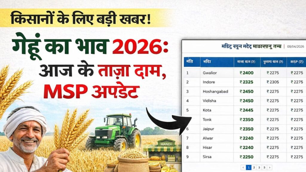 Gehun Mandi Bhav 17 March 2026