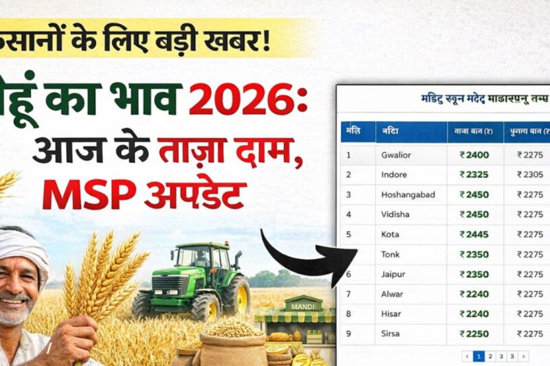 Gehun Mandi Bhav 17 March 2026: मंगलवार को पंजाब हरियाणा में MSP से 70 रुपये अधिक मिला, मध्य प्रदेश में 160 रुपये कम, सरकारी खरीद में भारी अंतर से किसानों में रोष, जानें देश की 25 मंडियों के ताजा रेट