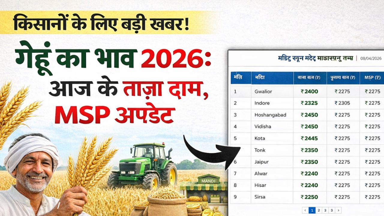 Gehun Mandi Bhav 17 March 2026