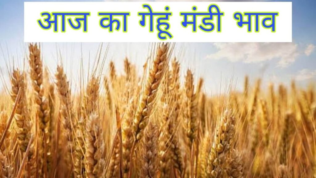 Gehun Mandi Bhav 19 March 2026