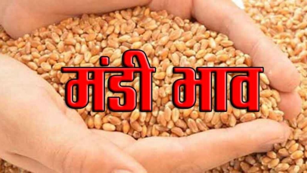 Gehun Mandi Bhav 31 March 2026