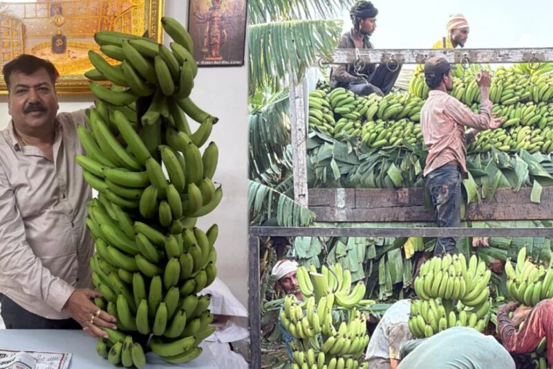 Israel-US Iran War: किसान को केला 5-9 रुपये किलो, बाजार में 80-85 रुपये, सोलापुर के किसान को 4 लाख का घाटा, 1300 कंटेनर फंसे, रमजान में भी नहीं मिली राहत, व्यापारी खा रहे पूरा मुनाफा
