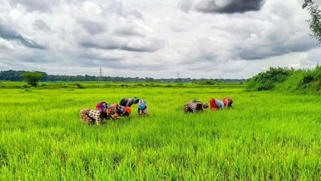 Krishak Unnati Scheme