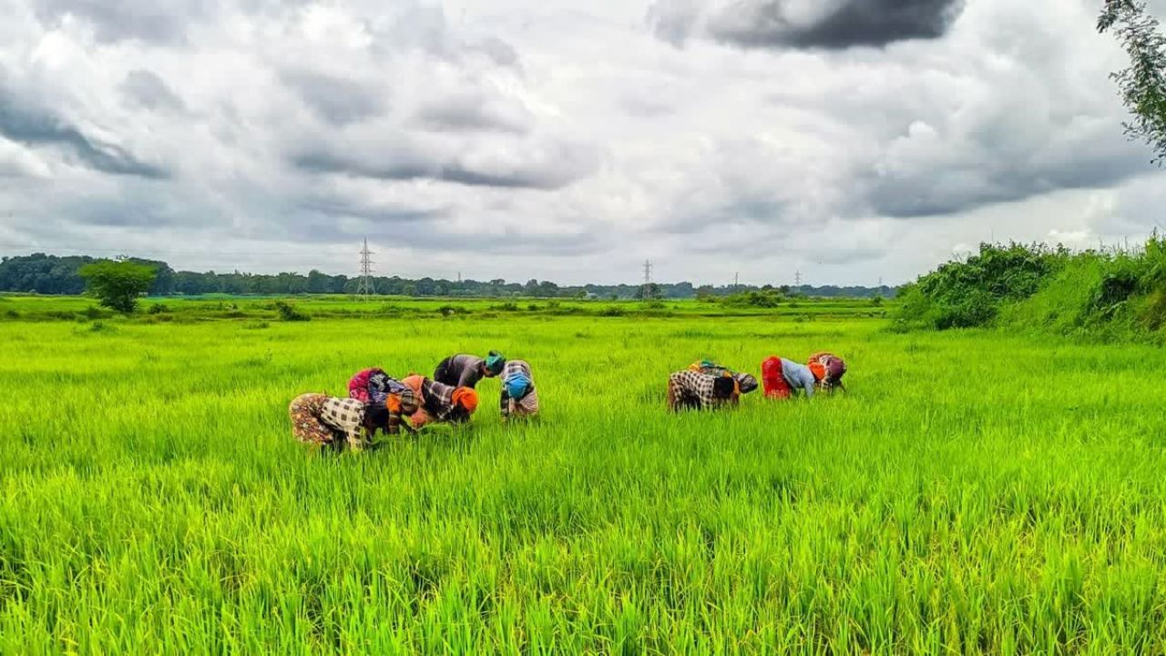 Krishak Unnati Scheme