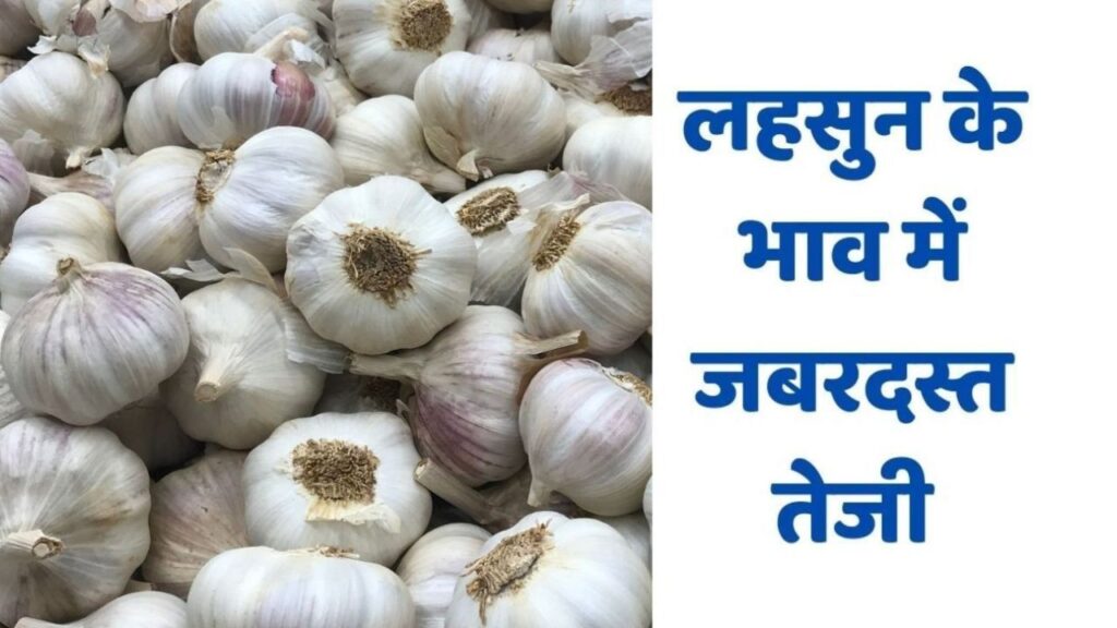 Lahsun Mandi Bhav 10 March 2026