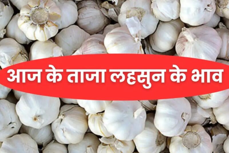 Lahsun Mandi Bhav 19 March 2026