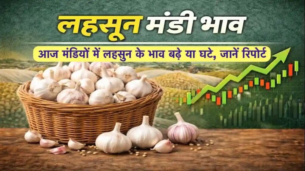 Lahsun Mandi Bhav 19 March 2026