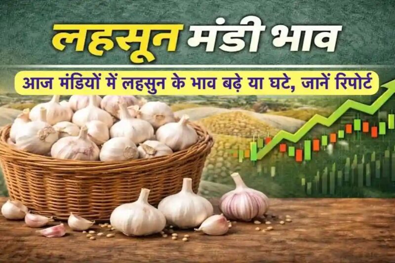 Lahsun Mandi Bhav 19 March 2026