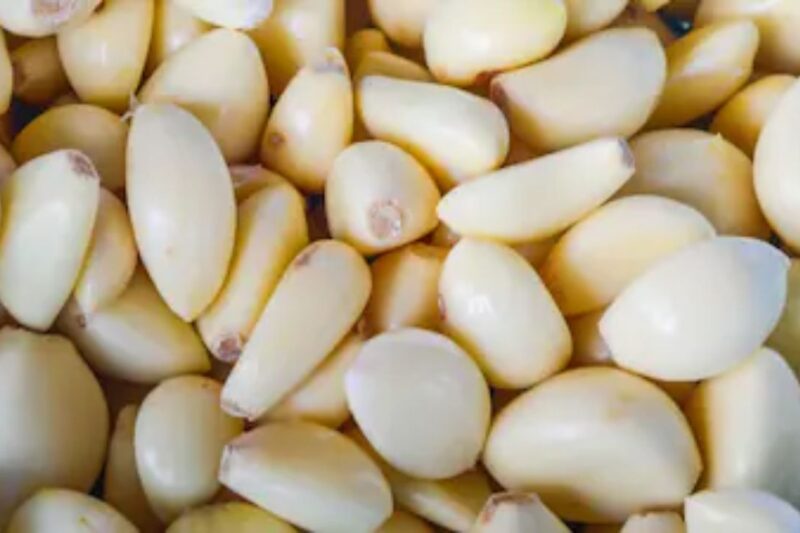 Lahsun Mandi Bhav 24 March 2026