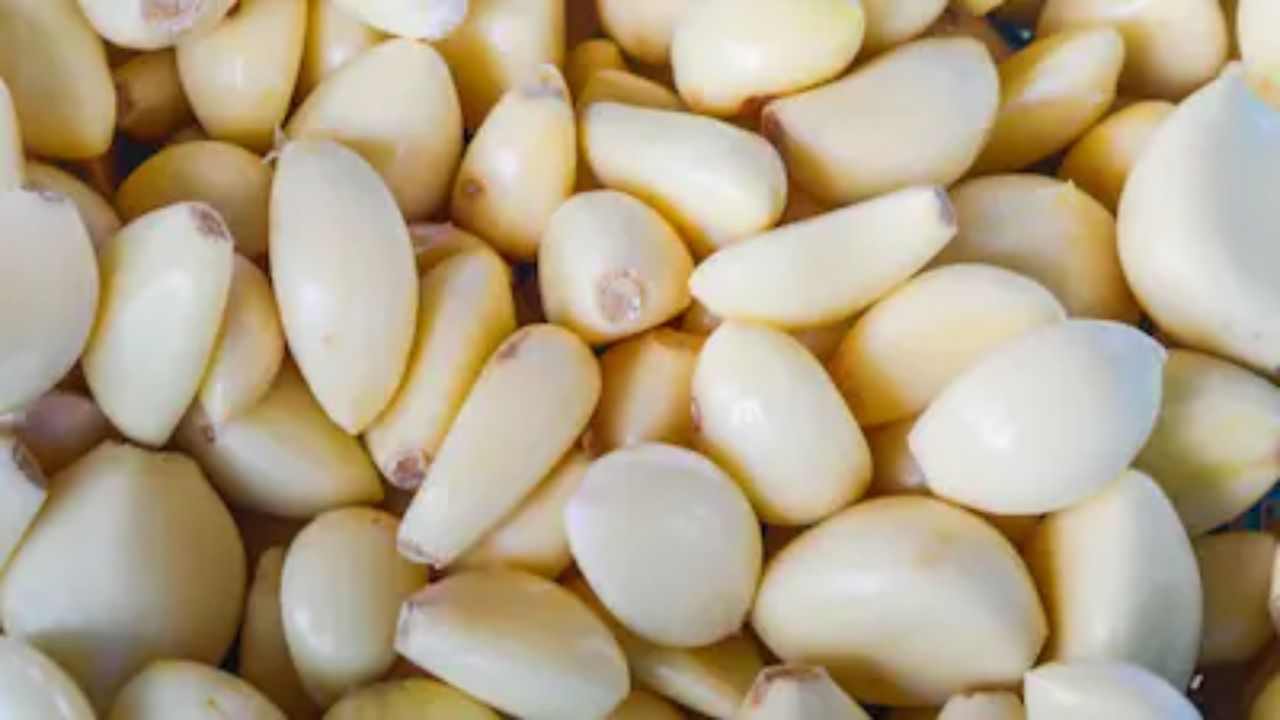 Lahsun Mandi Bhav 24 March 2026