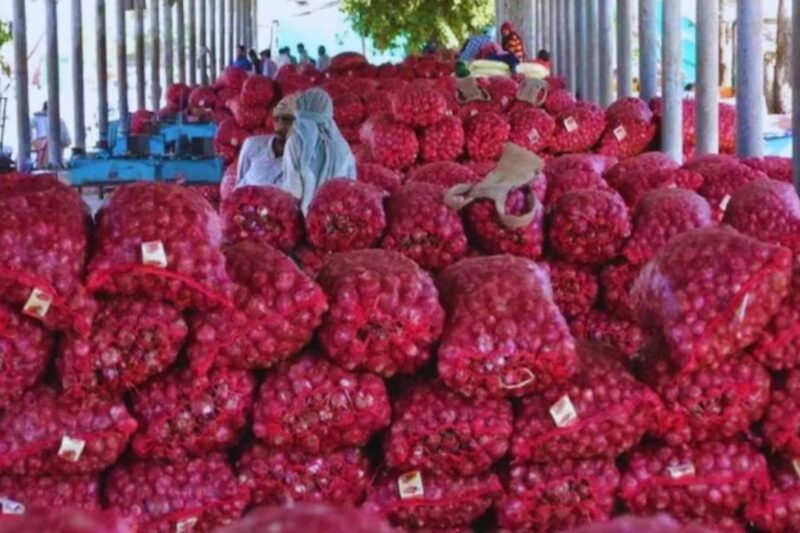 Onion Export: भारतीय प्याज निर्यात में भारी गिरावट, बांग्लादेश और सऊदी अरब ने मुंह फेरा, पाकिस्तान की सस्ती प्याज बनी बड़ी चुनौती, किसानों की बढ़ी चिंता