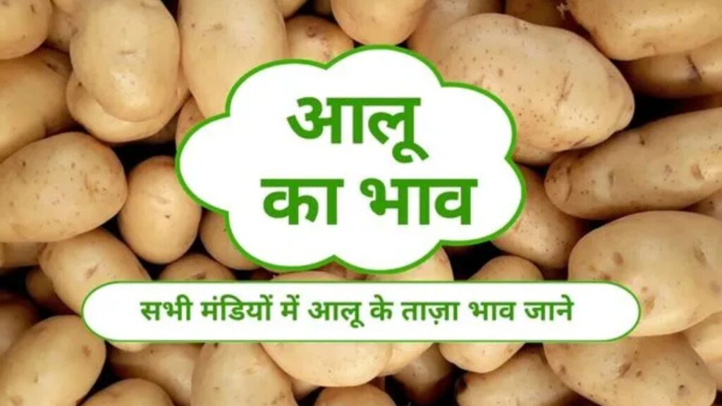 Potato Mandi Bhav 10 March 2026
