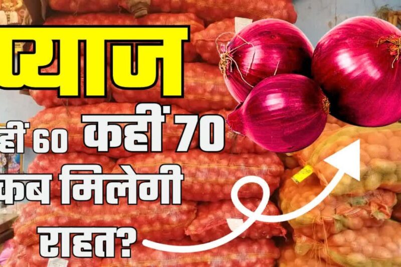 Pyaj Mandi Bhav 23 March 2026: लासलगांव में रबी प्याज के दाम मजबूत, खरीफ किसान लागत से नीचे बेचने को मजबूर, जानें आज के ताजा प्याज के मंडी भाव, कारण और सरकार से मांग