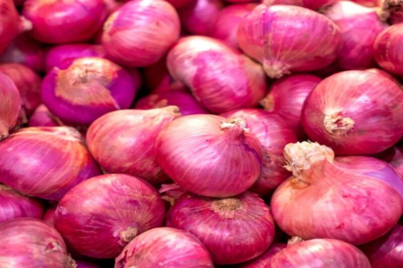 Pyaj Mandi Bhav 26 March 2026: बुधवार को बाजार में और गिरावट, नासिक में साल का सबसे निचला स्तर 645 रुपये, लगातार बढ़ती आवक से व्यापारियों का पलड़ा भारी, किसानों पर मंडराता घाटे का संकट, जानें पूरे देश का हाल