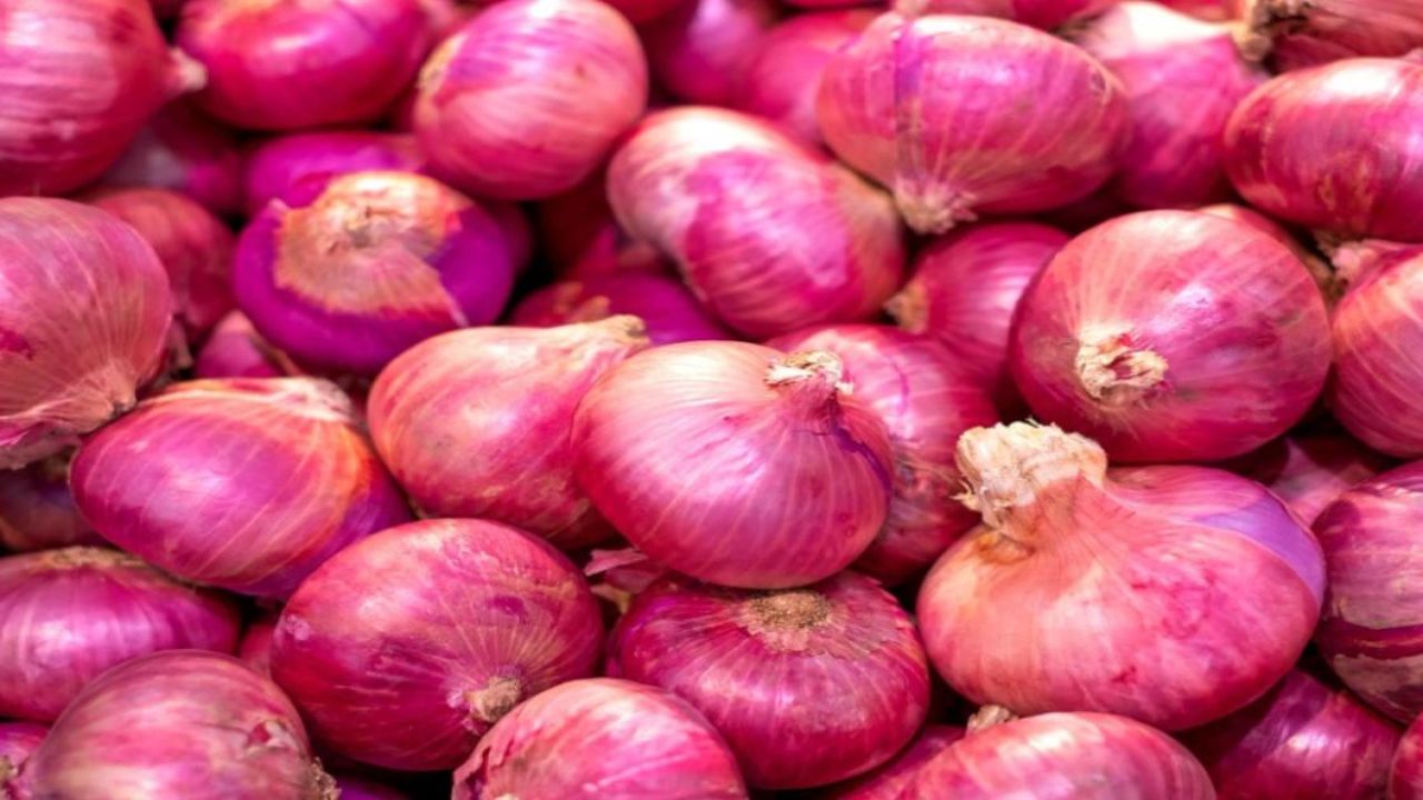 Pyaj Mandi Bhav 26 March 2026