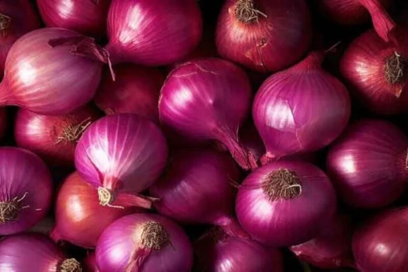 Pyaj Mandi Bhav 30 March 2026: सोमवार को नए सप्ताह की शुरुआत में थोड़ी स्थिरता, नासिक में 640 रुपये पर रुका गिरावट का सिलसिला, कोल्ड स्टोरेज पूरी तरह भरे, अप्रैल से बाजार में बदलाव की उम्मीद, 25 शहरों की पूरी रिपोर्ट