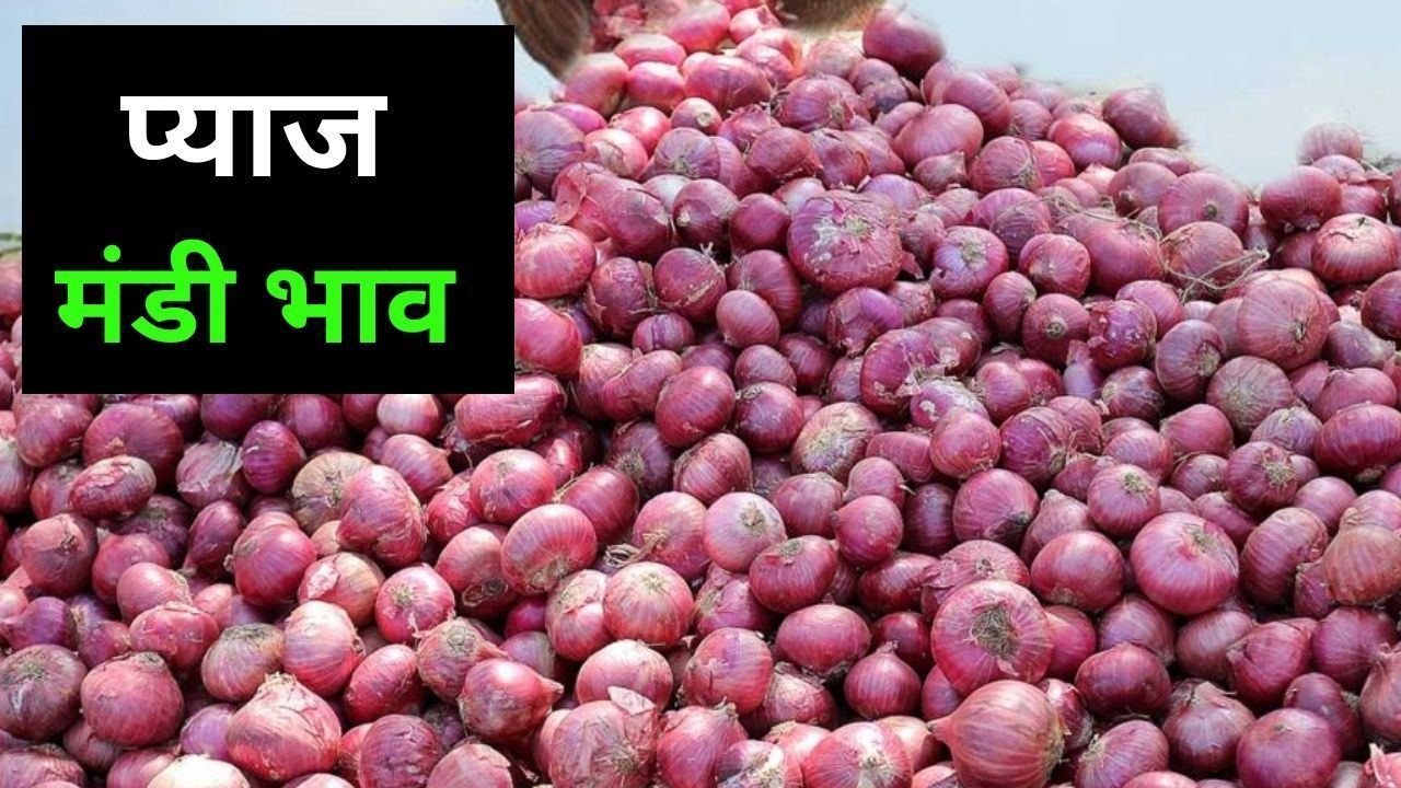 Pyaj Mandi Bhav 31 March 2026