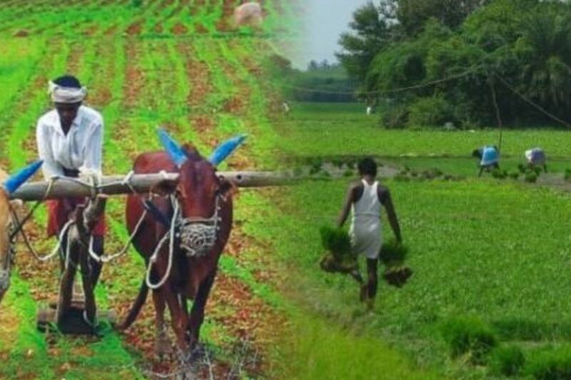 Shetkari Karja Mafi: पुण्यश्लोक अहिल्यादेवी होलकर शेतकरी कर्जमाफी योजना, महाराष्ट्र के किसानों का 2 लाख रुपए तक का फसली कर्ज होगा माफ, नियमित भुगतान करने वालों को 50 हजार का बोनस, जानें पूरी योजना