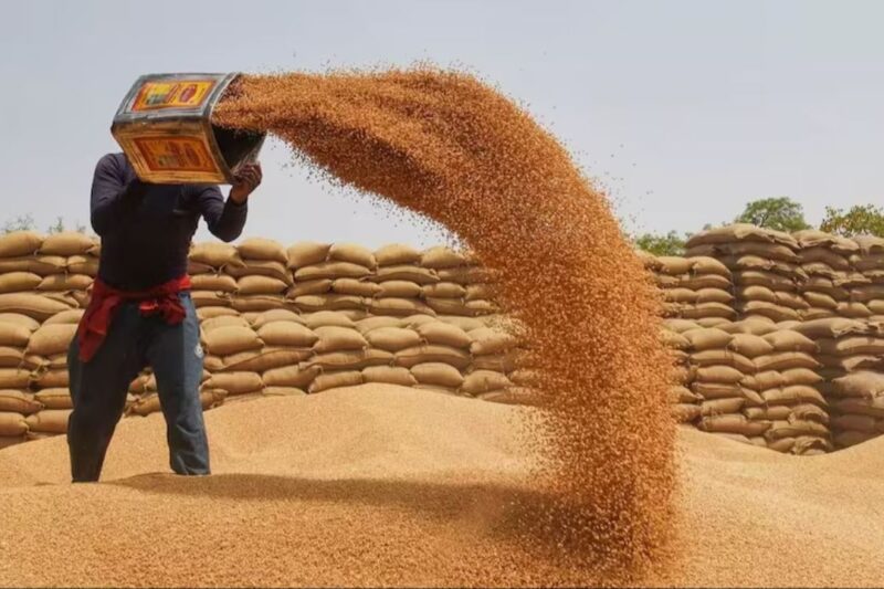 Wheat Procurement: मध्य प्रदेश में गेहूं खरीदी की तारीख का बड़ा ऐलान, 1 अप्रैल से इंदौर, उज्जैन, भोपाल और नर्मदापुरम में शुरू होगी प्रक्रिया, 7 अप्रैल से अन्य डिवीजन में, 2625 रुपये प्रति क्विंटल मिलेगा, 19 लाख किसानों ने कराया रजिस्ट्रेशन, जानें पूरी डिटेल