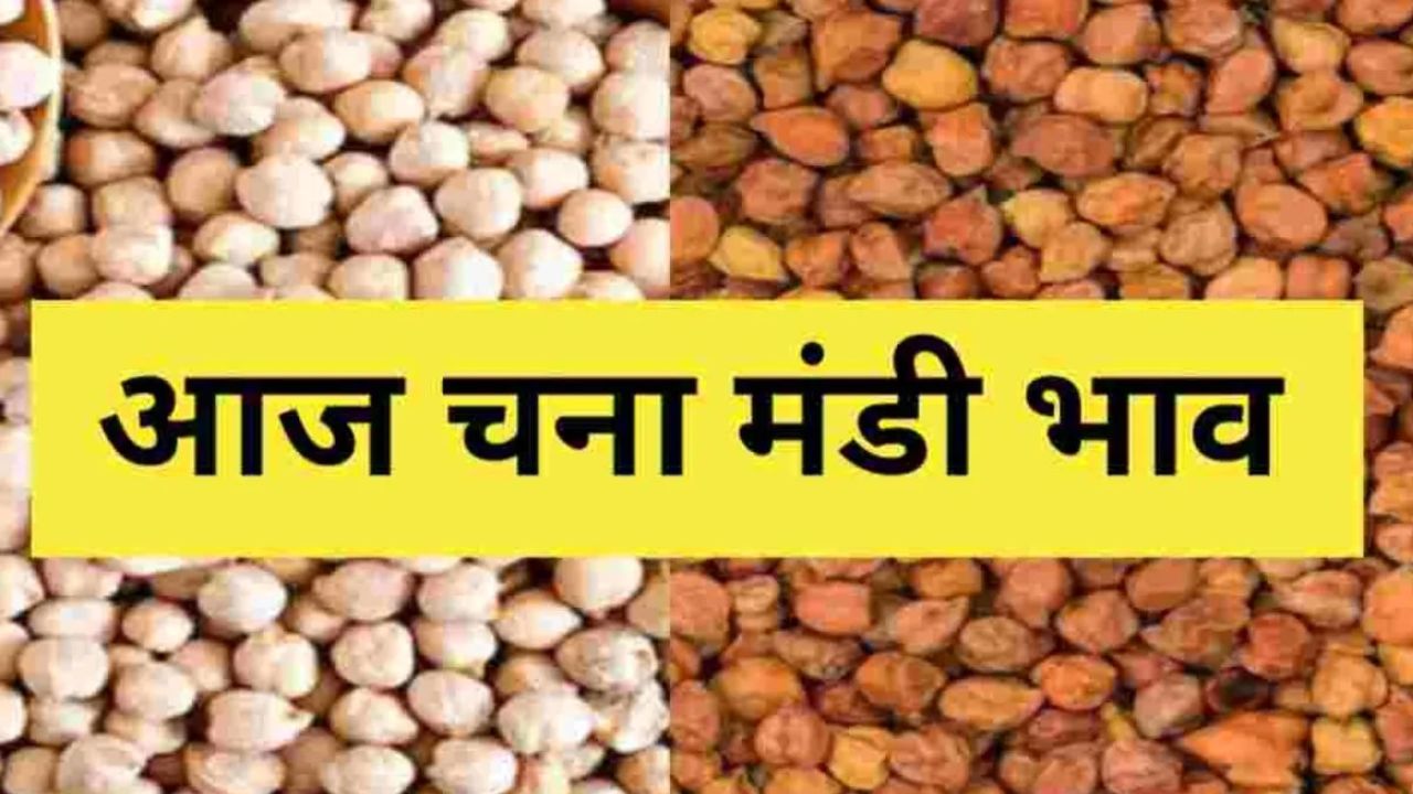 Chana Mandi Bhav 10 April 2026