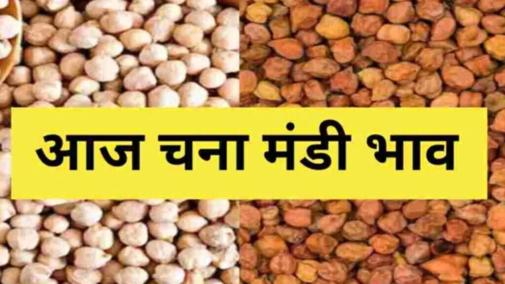 Chana Mandi Bhav 22 April 2026