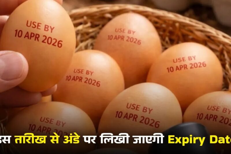 Egg Expiry: अंडे की एक्सपायरी प्रिंट करने पर NECC ने कही ये बड़ी बात, जानें क्यू जरूरी है एग की एक्सपायरी डेट