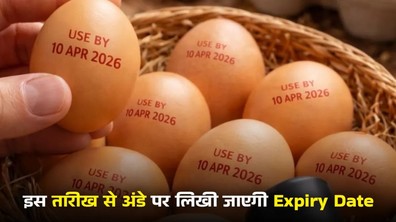 Egg Expiry