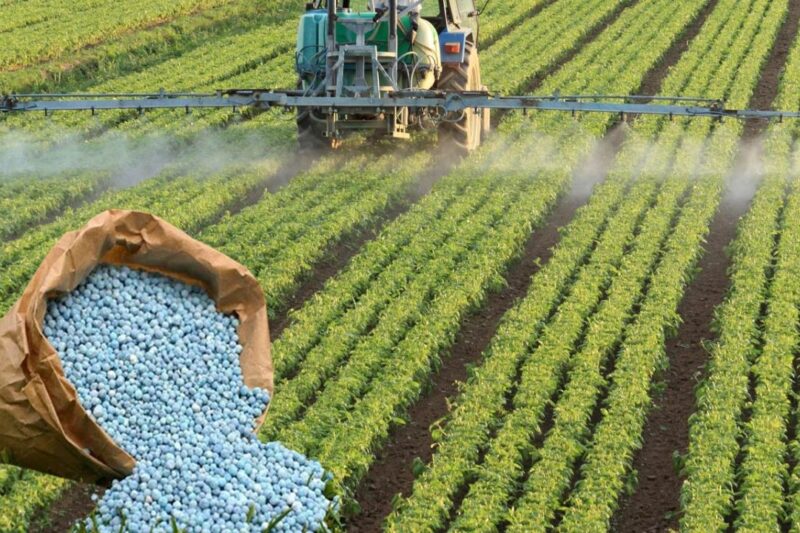 Fertiliser Issue: भारतीय पोटाश लिमिटेड को यूरिया के महंगे ऑफर मिले, ईरान संघर्ष से आपूर्ति प्रभावित, खाद की कीमतें बढ़ीं, किसानों पर बढ़ेगा बोझ