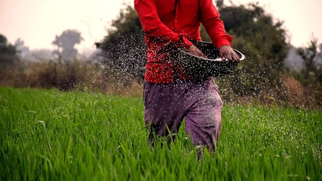 Fertilizer Supply Crunch