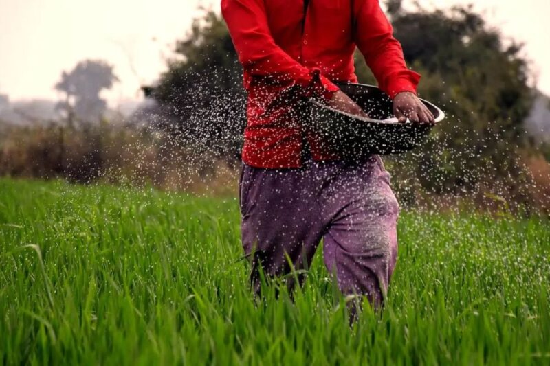 Fertilizer Supply Crunch: खाद की आपूर्ति में वैश्विक संकट: किसानों की आय पर असर, फसल उत्पादन और खाद्य सुरक्षा को खतरा, भारत में भी चिंता बढ़ी