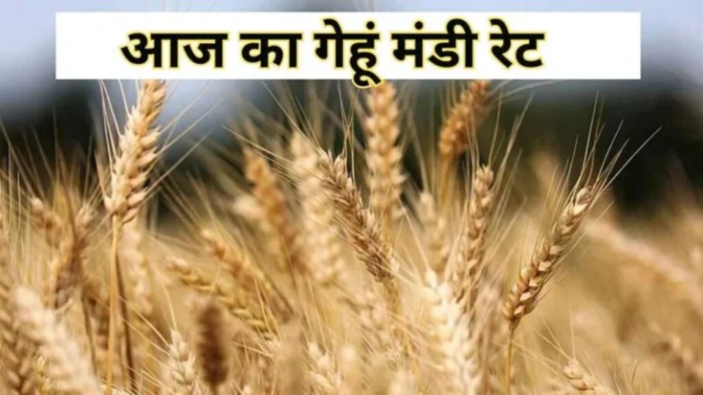 Gehun Mandi Bhav 20 April 2026