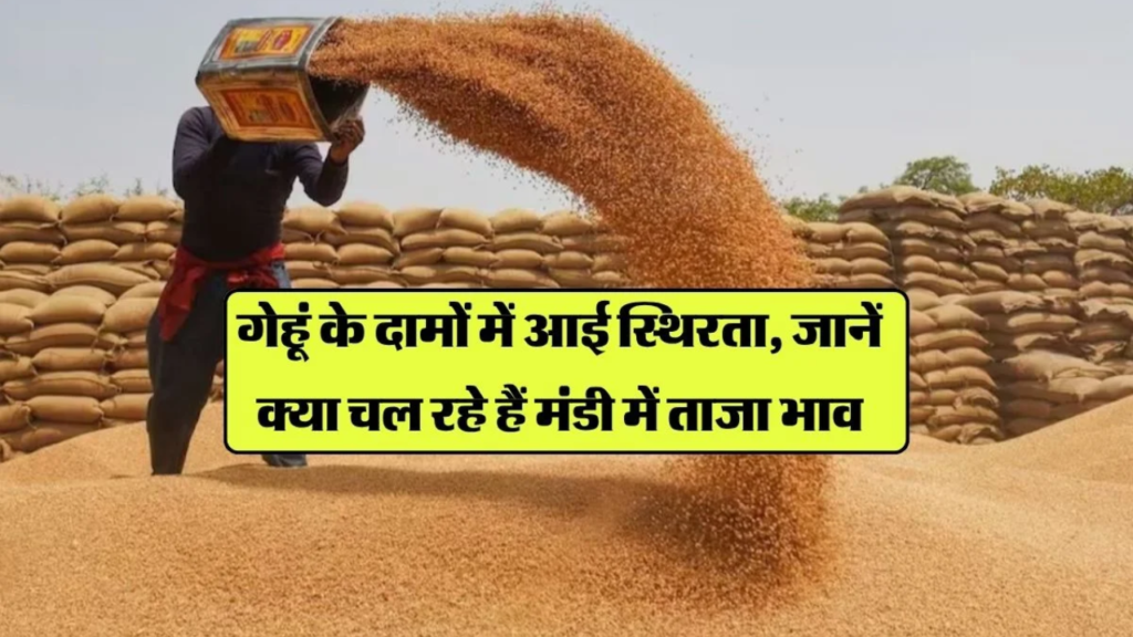 Gehun Mandi Bhav 6 April 2026